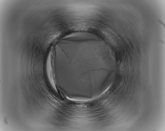 X0000097790692200803281723