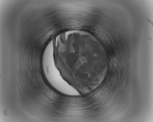 X0000097790693200803281723