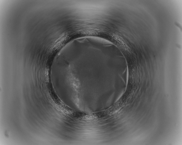 X0000097790696200803281723