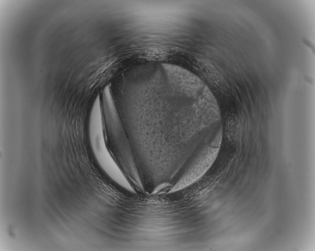 X0000097790697200803281723