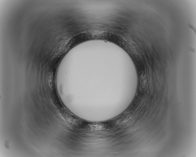X0000097790698200803281723
