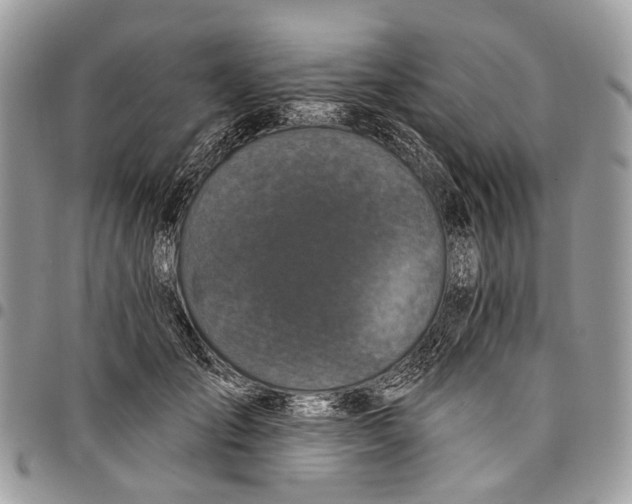 X0000097790701200803281723
