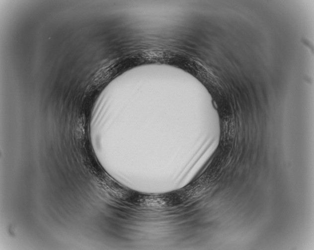 X0000097790702200803281723