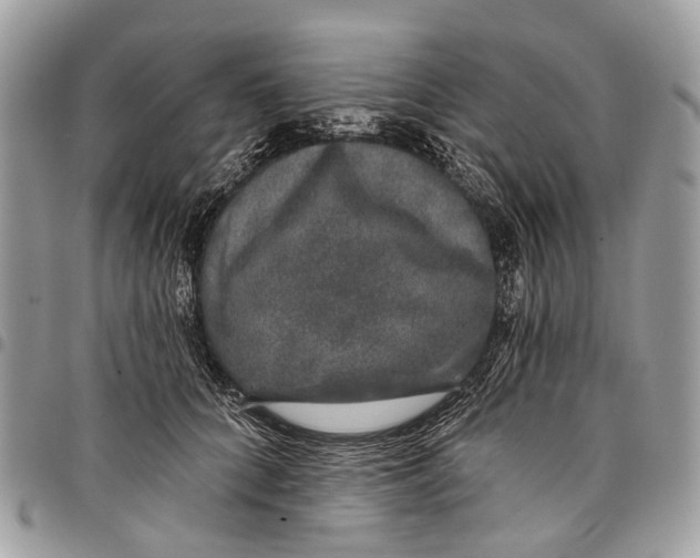 X0000097790704200803281723