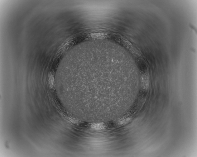 X0000097790705200803281723