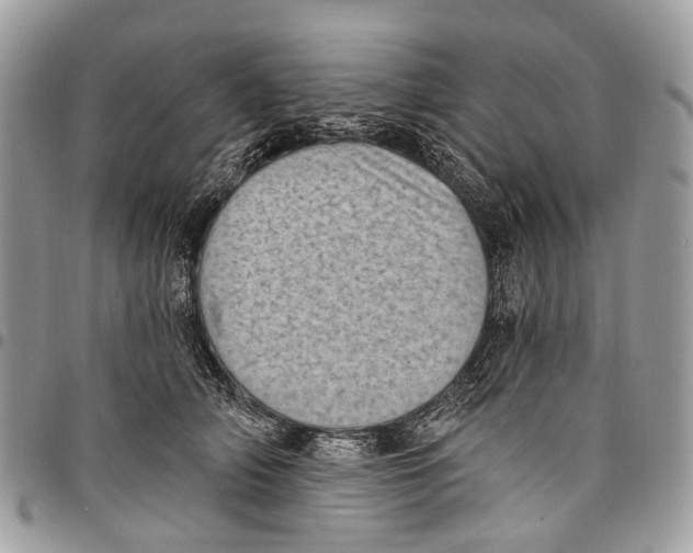 X0000097790706200803281723