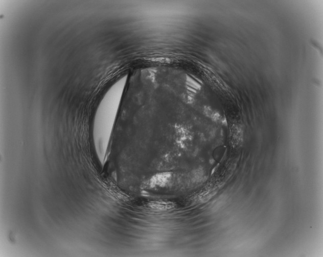 X0000097790707200803281723