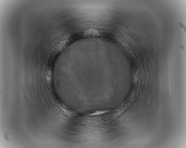 X0000097790708200803281723
