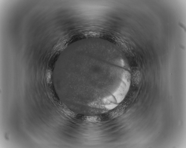 X0000097790709200803281723