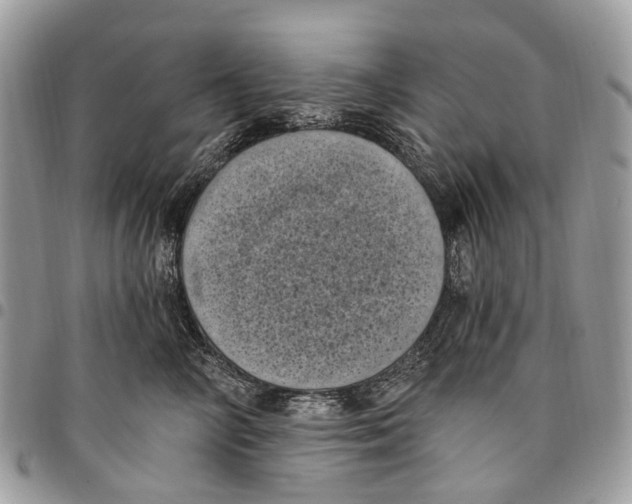 X0000097790714200803281723