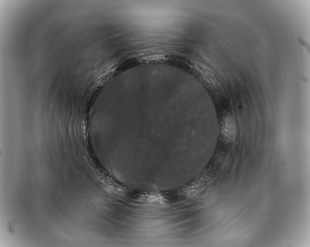 X0000097790715200803281723
