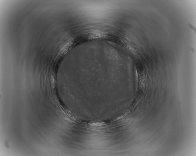 X0000097790716200803281723