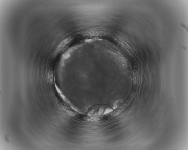 X0000097790718200803281723