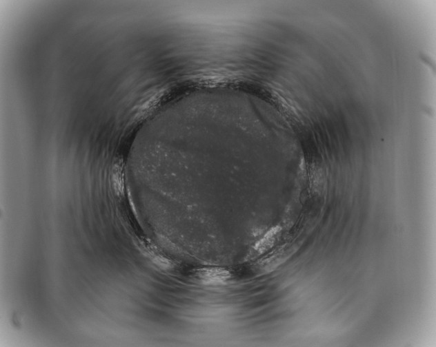 X0000097790719200803281723