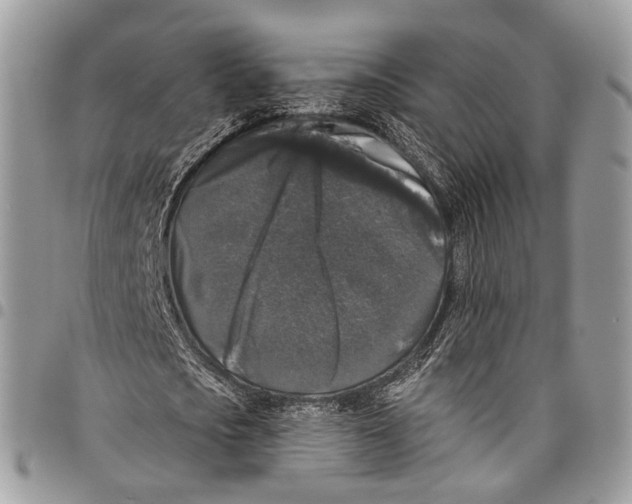 X0000097790721200803281722