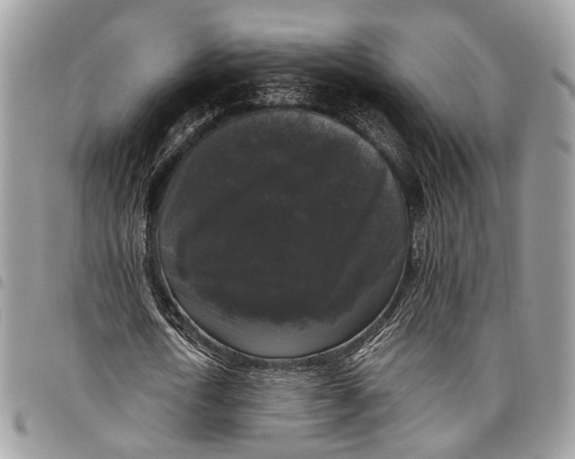 X0000097790722200803281722