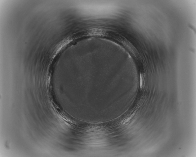 X0000097790723200803281722