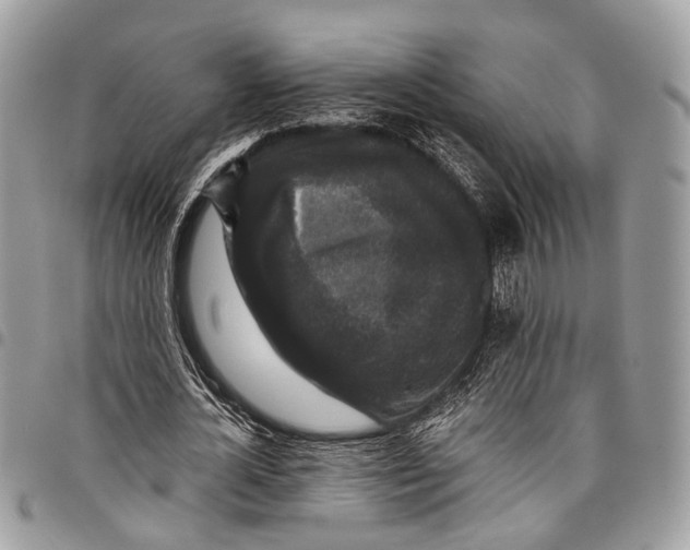X0000097790724200803281722