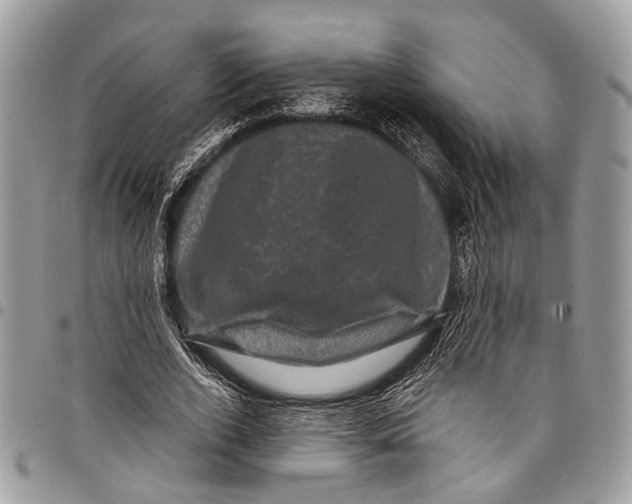 X0000097790728200803281722