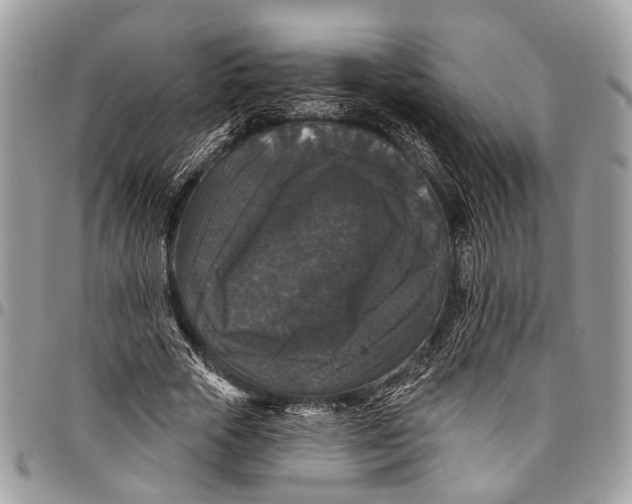 X0000097790729200803281722
