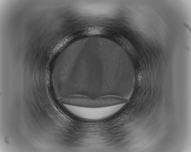 X0000097790732200803281722