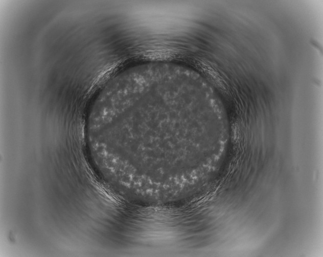 X0000097790733200803281722