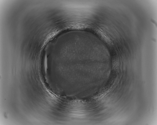 X0000097790736200803281723