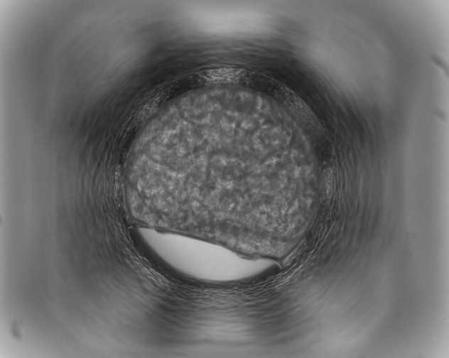 X0000097790737200803281723