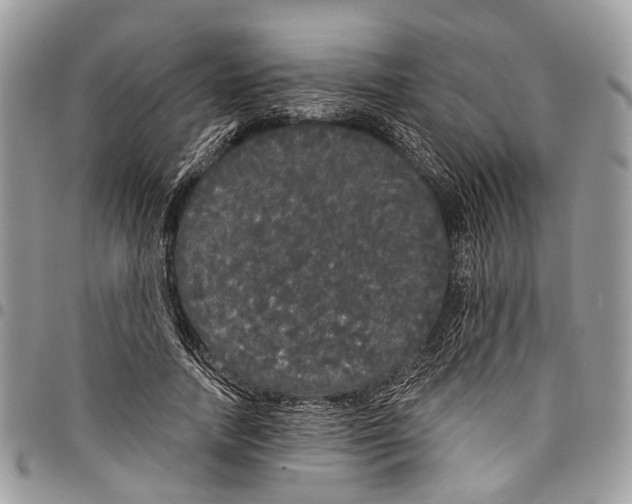 X0000097790738200803281723