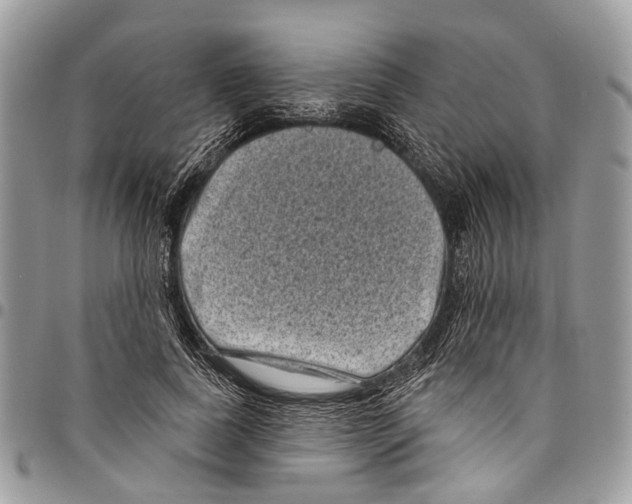 X0000097790739200803281723