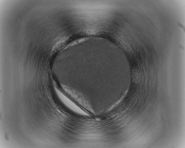 X0000097790740200803281723