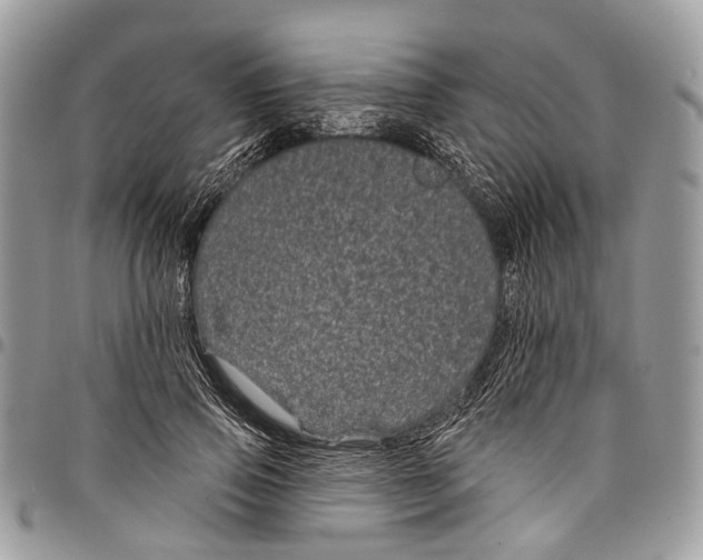 X0000097790741200803281723