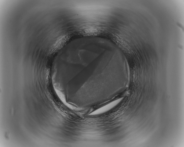 X0000097790742200803281723