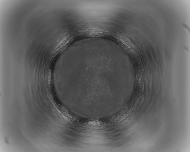 X0000097790744200803281723