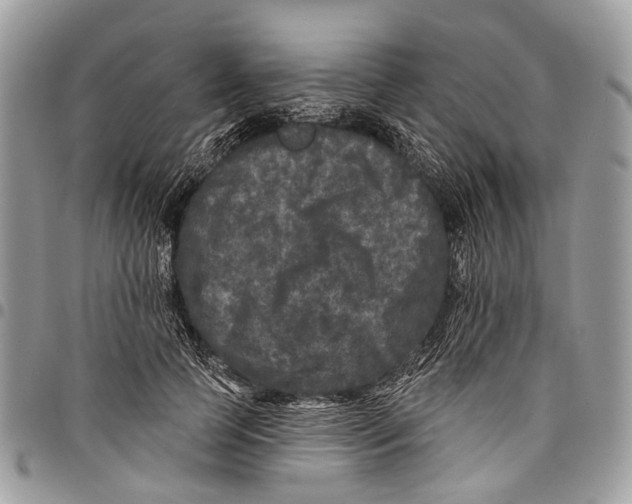X0000097790745200803281723