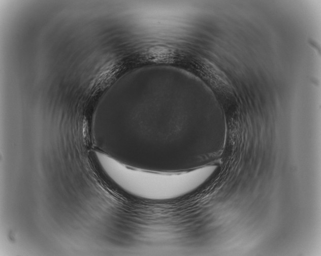 X0000097790748200803281723