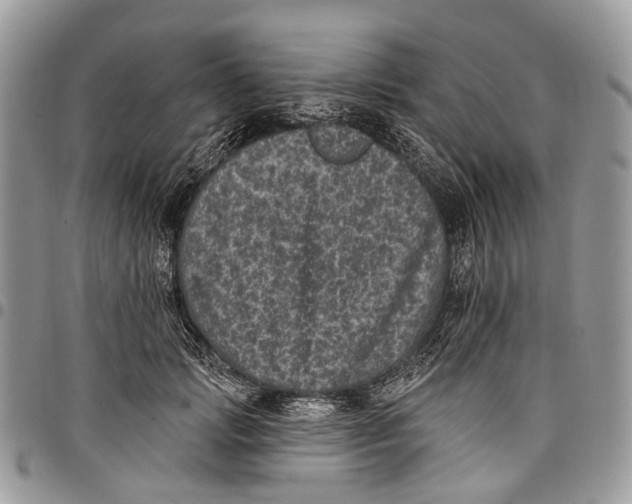 X0000097790749200803281723