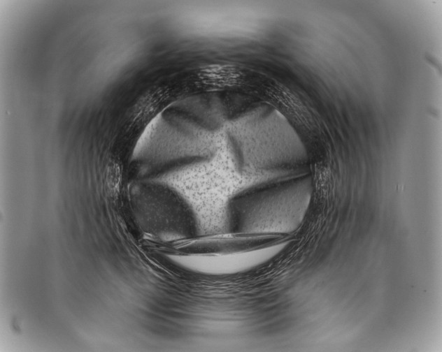 X0000097790752200803281723
