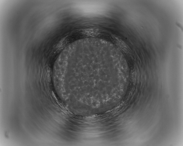X0000097790757200803281723