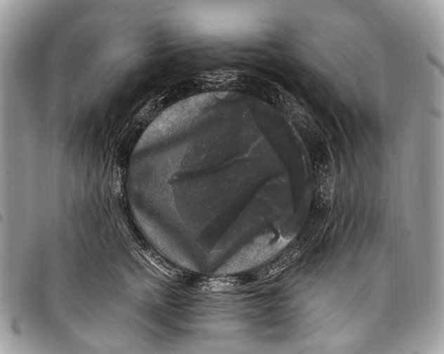 X0000097790758200803281723