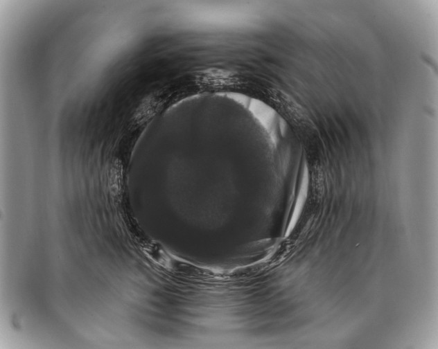 X0000097790760200803281723