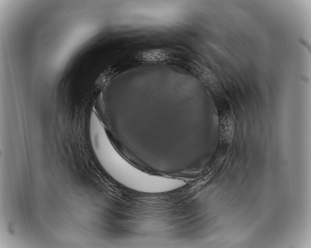 X0000097790762200803281723