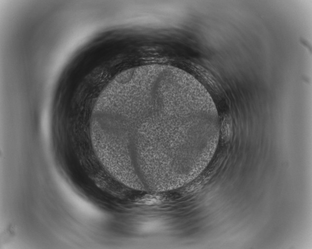 X0000097790764200803281723