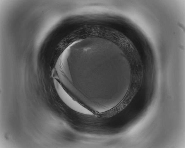 X0000097790766200803281723