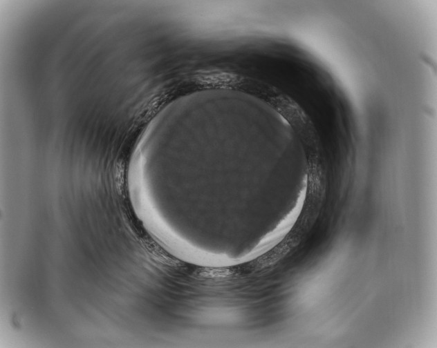 X0000097790767200803281723