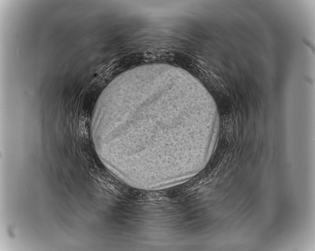 X0000097790770200803281722