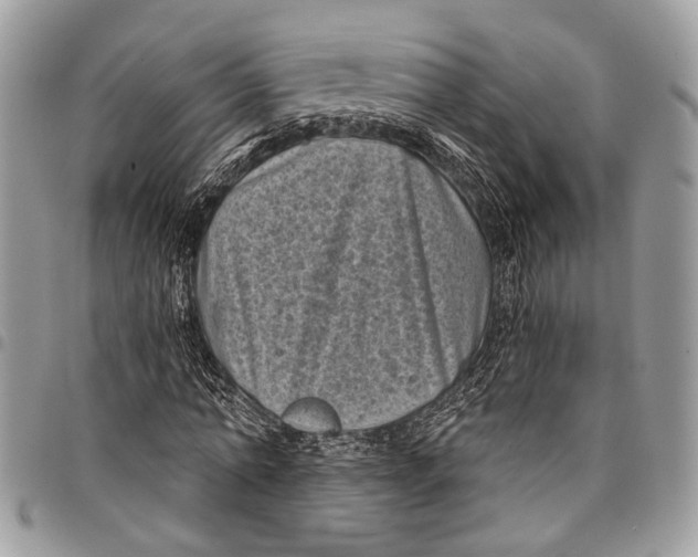 X0000097790774200803281722