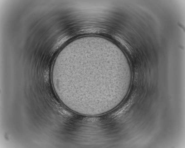 X0000097790778200803281722