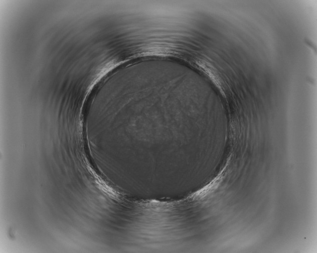 X0000097790779200803281722