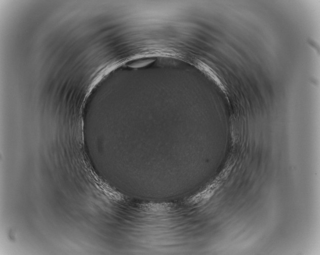 X0000097790781200803281722